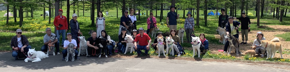 秋田犬保存会 北海道道央支部