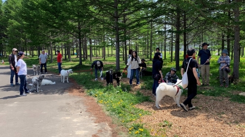 秋田犬保存会 北海道道央支部