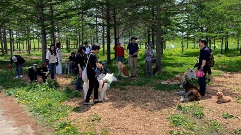 秋田犬保存会 北海道道央支部