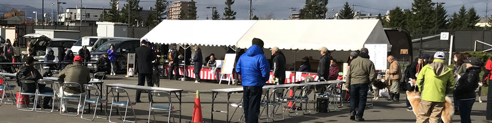 秋田犬保存会 北海道道央支部秋田犬