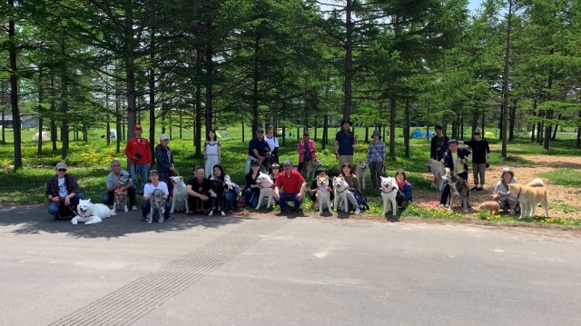 秋田犬保存会 北海道道央支部秋田犬